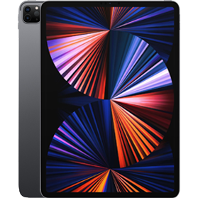 Remis à neuf iPad Pro 2021 (12,9 pouces) noir 5G  